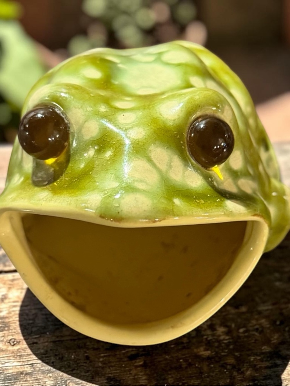 Ceramic Frog Hideout - Green